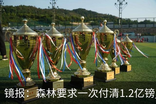 镜报：森林要求一次付清1.2亿镑 曼城不想竞价可能放弃引进安德森